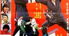 Marvelous Stunts Of Kung Fu