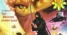 Filme completo Ninja: Golpe de Misericórdia