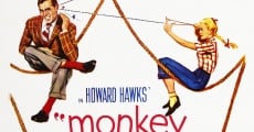 Monkey Business (aka Darling I Am Growing Younger) film complet