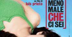 Meno male che ci sei (2009)