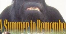 A Summer to Remember film complet