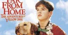 Far from Home: The Adventures of Yellow Dog (1995)