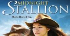 Midnight Stallion film complet