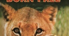 Born Free film complet