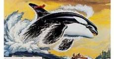 Namu, l'orque sauvage streaming