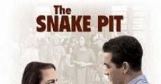 The Snake Pit film complet