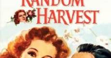 Random Harvest film complet