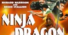 Filme completo Dragões Ninja