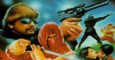 Ninja Strike Force film complet