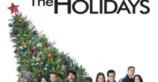 Nothing Like the Holidays film complet