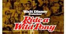 Ride a Wild Pony film complet