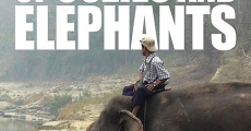 Filme completo Of Oozies and Elephants