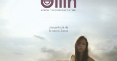 Ollin, México y su diversidad cultural film complet