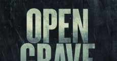 Open Grave streaming