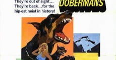 The Daring Dobermans film complet