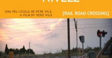 Pas a nivell (2007)