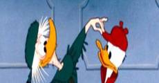 Donald Duck: No Hunting film complet