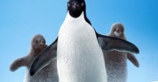 Penguins film complet