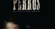 Perros (2016)