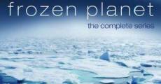 Frozen Planet streaming