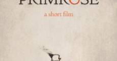 Filme completo Primrose