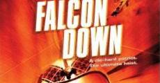 Falcon Down - Todesflug ins Eismeer