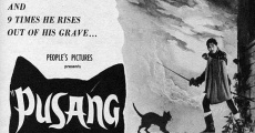 Pusang itim (1958)