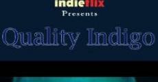 Quality Indigo film complet