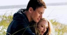 Dear John (2010)