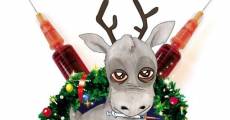 Reindeerspotting - pako Joulumaasta