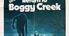 Return to Boggy Creek