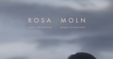 Rosa Moln (2018)