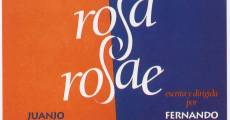 Filme completo Rosa Rosae