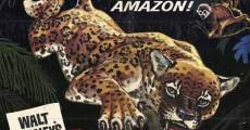 A True-Life Adventure: Jungle Cat film complet