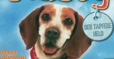 Filme completo Rusty: A Dog's Tale