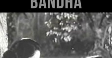 Saat Pake Bandha (1963)