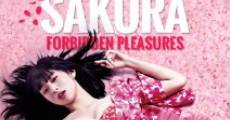 Sakura hime film complet