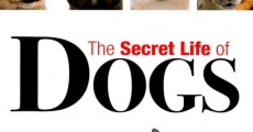 Secret Life of Dogs streaming