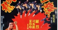 Secret of the Chinese Kung Fu streaming