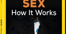 Sex: How It Works streaming