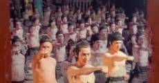 Die Brüder vom Shaolin-Tempel