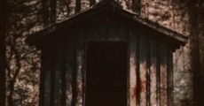 Shed (2019)
