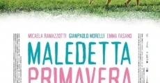 Maledetta primavera film complet