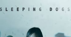 Sleeping Dogs film complet