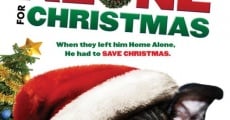 Alone for Christmas film complet