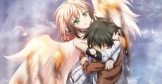 Sora no Otoshimono Final: Eternal My Master streaming