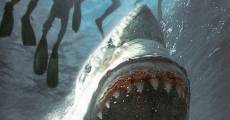 Raging Sharks film complet