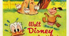 Walt Disney's Donald Duck: Spare the Rod film complet