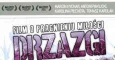 Drzazgi (2008)