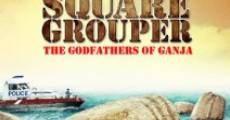 Filme completo Square Grouper
